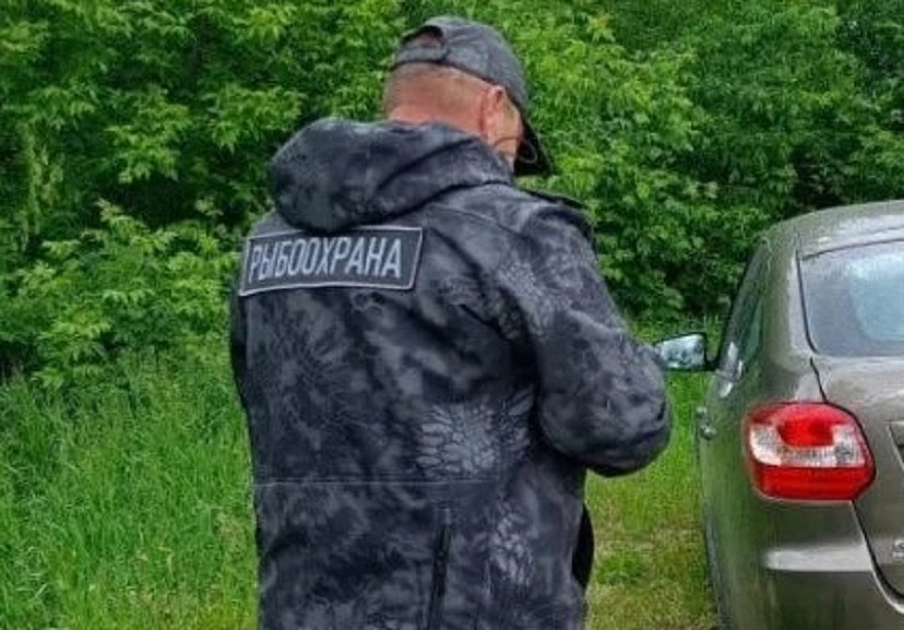 В Саратовской области у рыбаков изъяли полтонны улова и 5 км сетей 