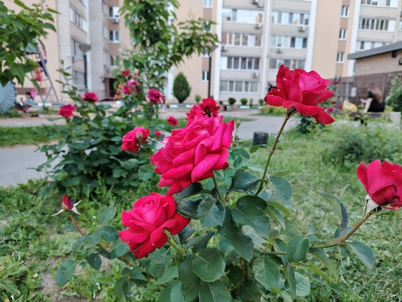 Саратовцев предупредили о грозах с градом