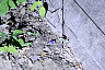 В Саратове задержан 19-летний закладчик синтетики